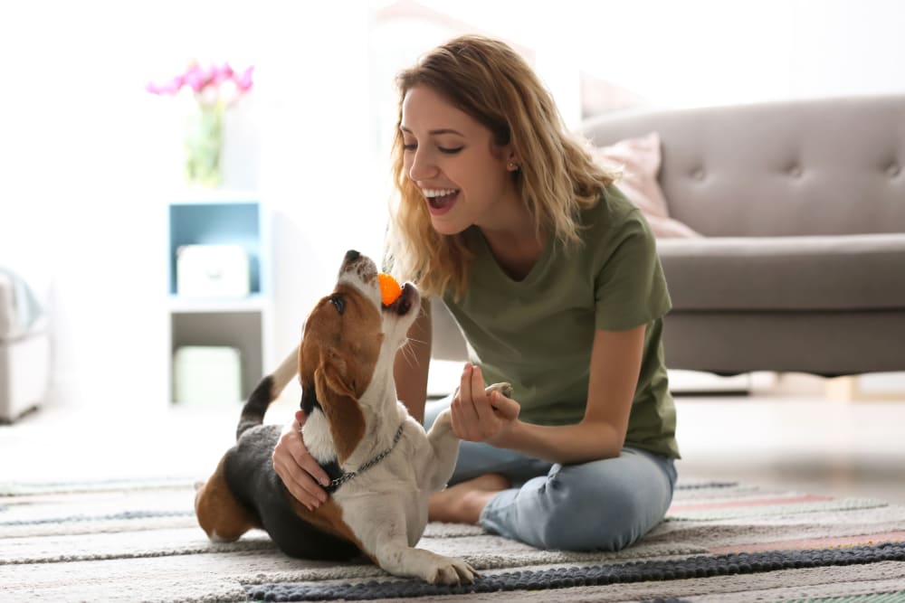 Mujer con su perro disfrutando en su apartamento 