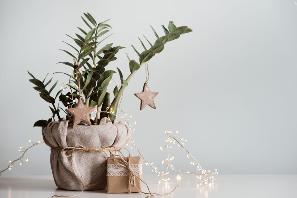 Fotografía de centro de mesa con flores naturales y ramas naturales, decoración navideña sencilla