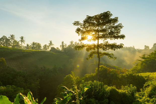 sostenibilidad-en-la-construccion-1